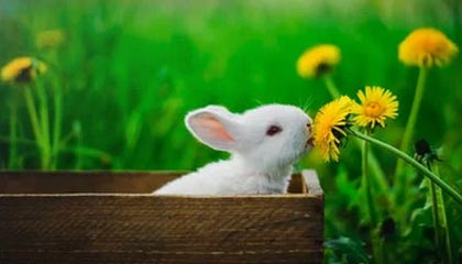 开云体育中国-突尼斯希望主打身体对抗但失控节奏，突尼斯球员