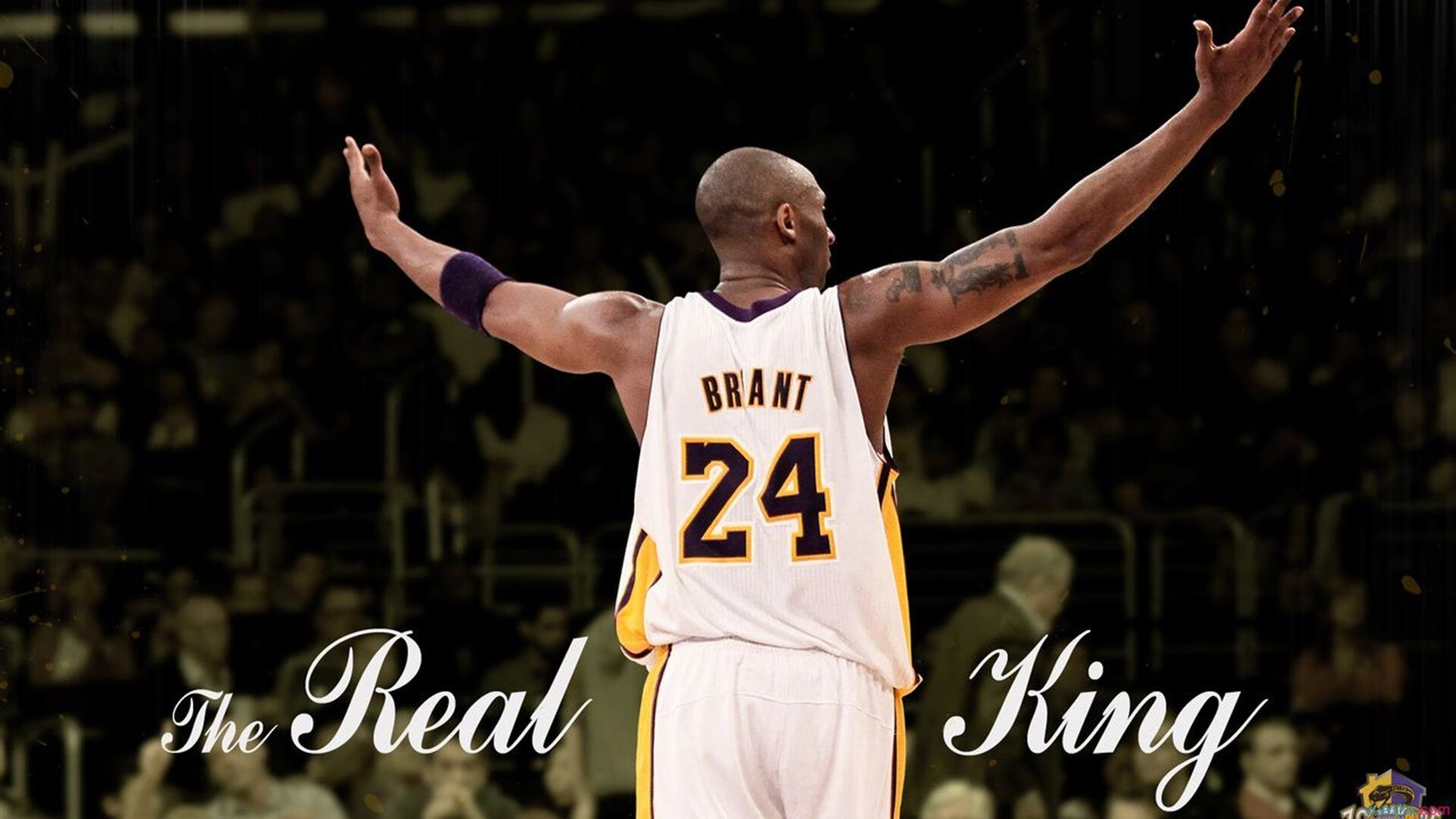 “运动舞蹈：舞步间的爆发力和灵巧度，金牛区城北体育馆见证精彩时刻”